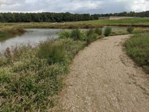 A lake and a gravelly trail curving at the Camden Environmental Park Loop Trail