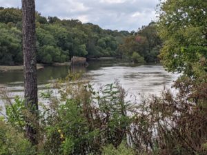 Lake surrounded by trees with a lot of understory in foreground at Environmental Park Loop Trail