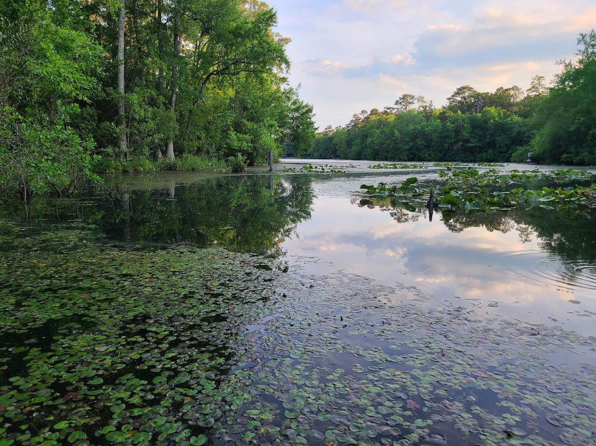 Kendall Lake Loop Trail KC Trails