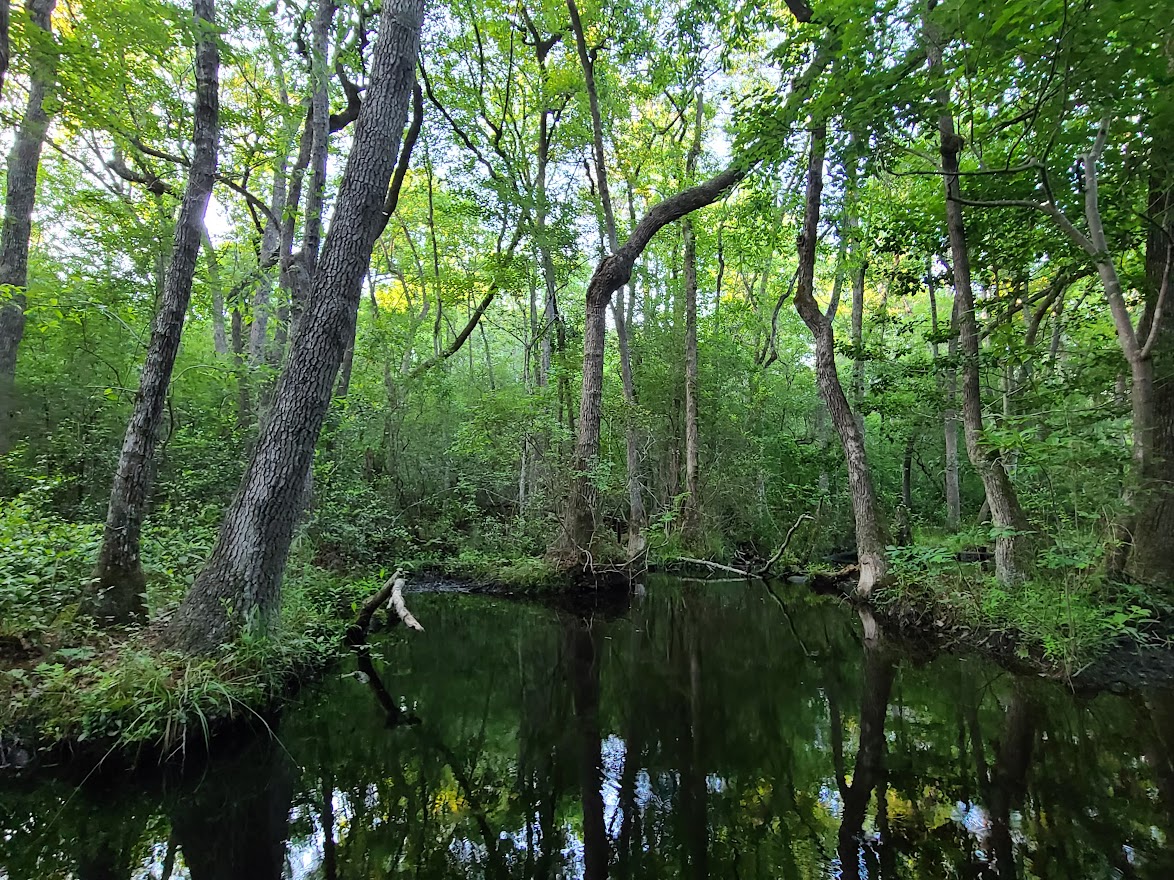 Kendall Lake Loop Trail KC Trails