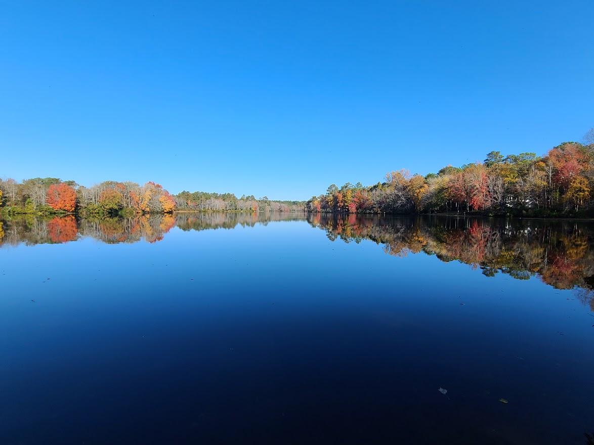 Kendall Lake Loop Trail KC Trails