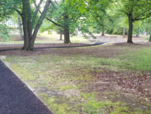 Black rubber path widing around trees passing a bridge in the background