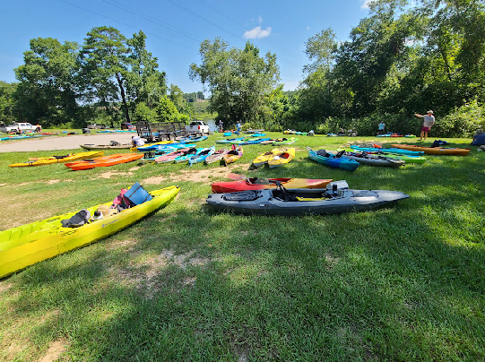 Many different colored canoes on the grass