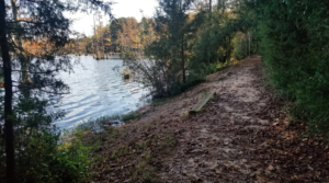 Goodale- Bench at a clearing in front of the lake at Goodale Lakeside Trail