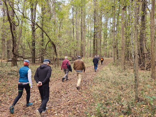 People Walking In the Forest At Clemson Lloyd Property