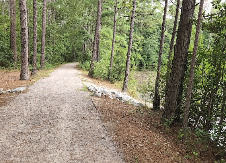 Walking trail through the woods, next to a pond.