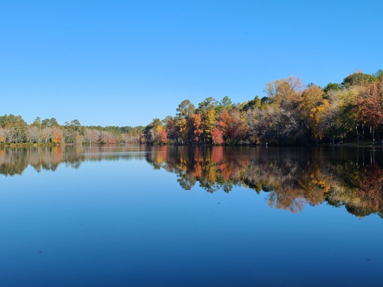 Kendall Lake Park