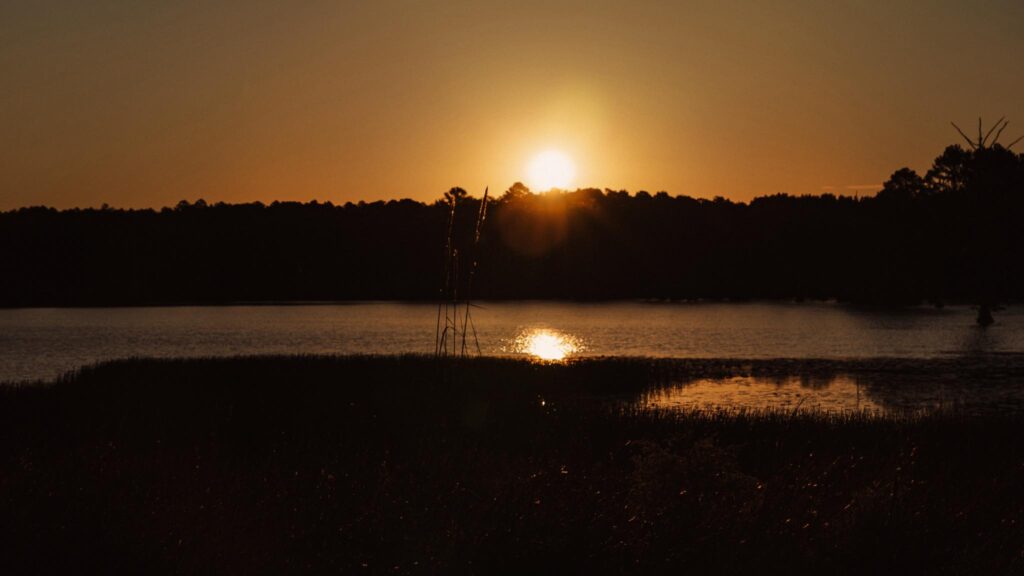 Golden sunset over a quiet lake, with trees silhouetted against the glowing sky and water reflecting the sun.
