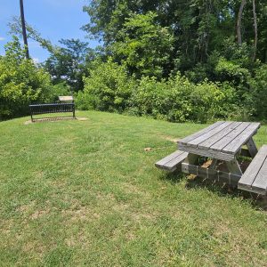 Wooden picnic table and a black bench on green grass near trees under a blue sky.