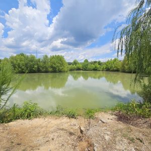 A calm, green pond surrounded by trees under a blue sky with fluffy clouds.