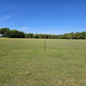 Camden Polo Field Walking