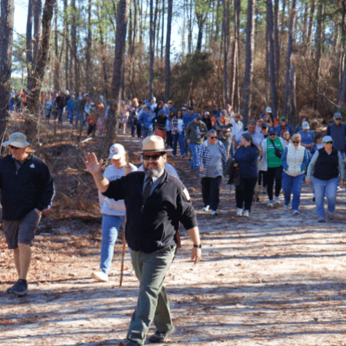 A park ranger leads a large group of people hiking on a forest trail under tall trees.