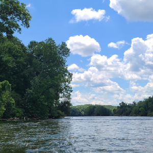 Open space of Water and Trees with a Blue sky on the horizon