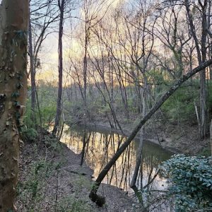 A quiet river winds through leafless trees at sunset, reflecting the sky and branches in the water.