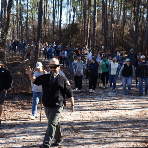 A large group of people walks through a sunlit forest trail, led by a person in a hat waving.