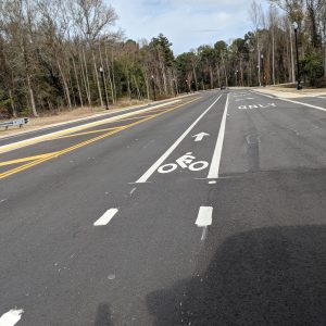 Empty street with a marked bike lane, lined by trees and streetlights under a partly cloudy sky.