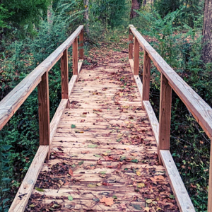 Bridge going over a ditch in the middle of the forest at Veterans Park