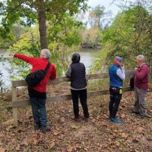 Four people stand on a leafy riverbank, one pointing across the water, surrounded by trees and foliage.