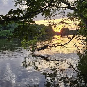 Sunset over a calm river with tree branches framing the view and reflections on the water.