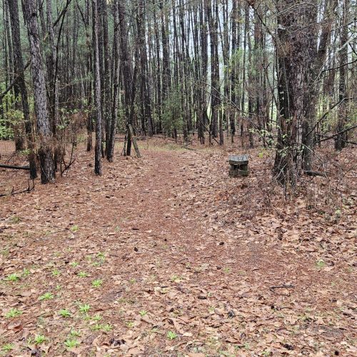 woodwardparktrail